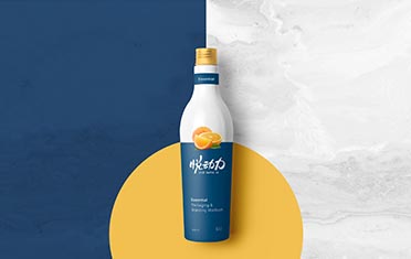 葫芦岛某动力 品牌设计